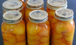 canning peaches at Katywil Farm Community