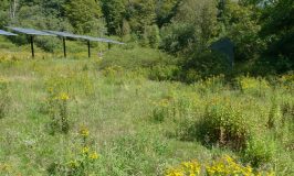 invisible solar array and shed at Katywil Farm Community