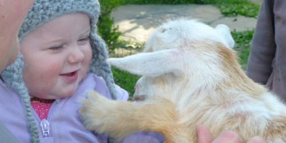 Baby Maggie meets Baby Goat Charlotte at Stowe Farm Community