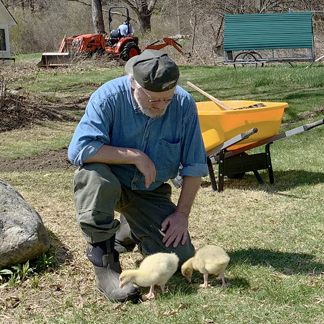 Haynes with geese at Stowe Farm Community