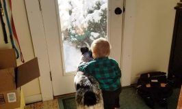 Best friends, boy and his dog