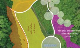 Stowe Farm's permaculture plan for Solar Field