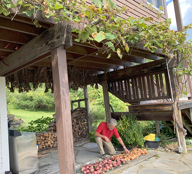 Onions and garlic and grapes, Oh my!