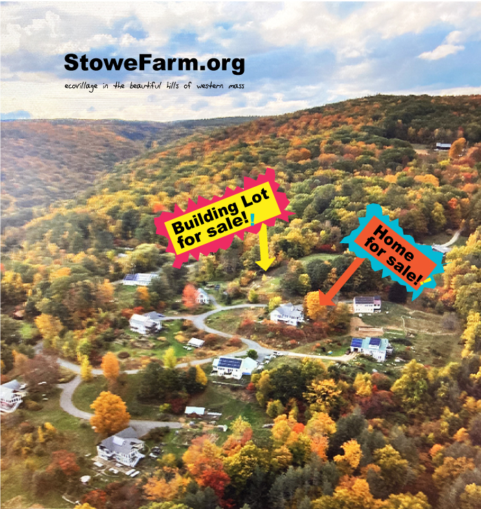 Final building lot and home for sale at Stowe Farm Community