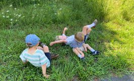 Last lazy days of summer at Stowe Farm