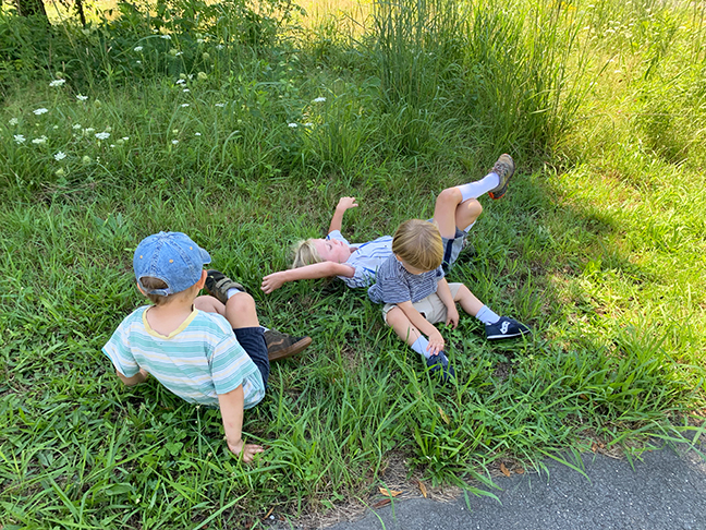 Last lazy days of summer at Stowe Farm