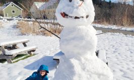 Leon and SnowGuy at Stowe Farm Community