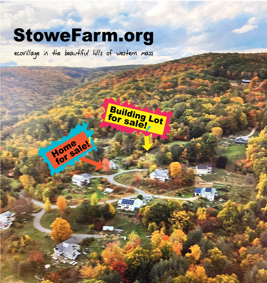 House and last building lot for sale at Stowe Farm Community