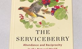 Robin Wall Kimmerer's, book, The Serviceberry