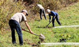 Planting chestnut trees at Stowe Farm Community