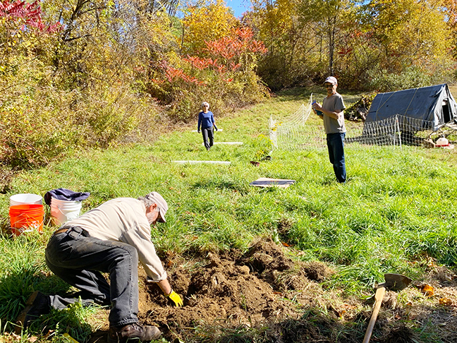 Planting chestnut trees at Stowe Farm work party