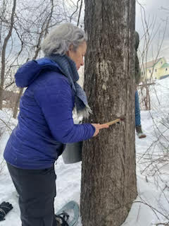 Stowe Farm Sugaring Club