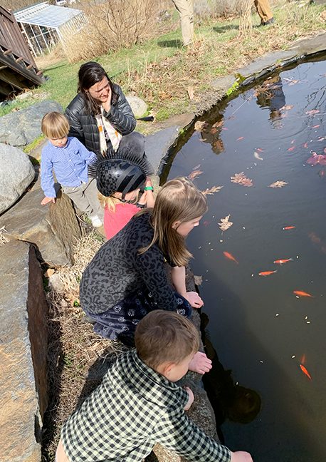 Fish are back!
