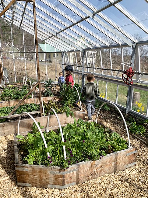 Checking out the greenhouse