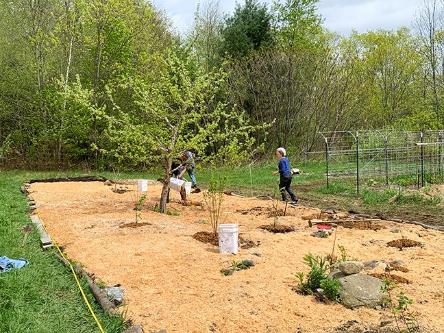 Food Forest at Stowe Farm Community