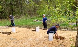 Food Forest at Stowe Farm Community