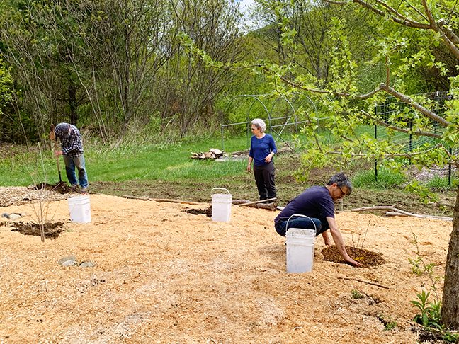 Food Forest at Stowe Farm Community