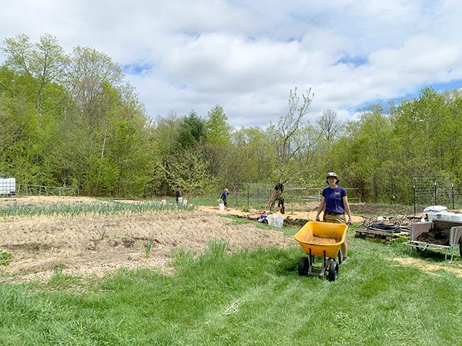 Food Forest at Stowe Farm Community